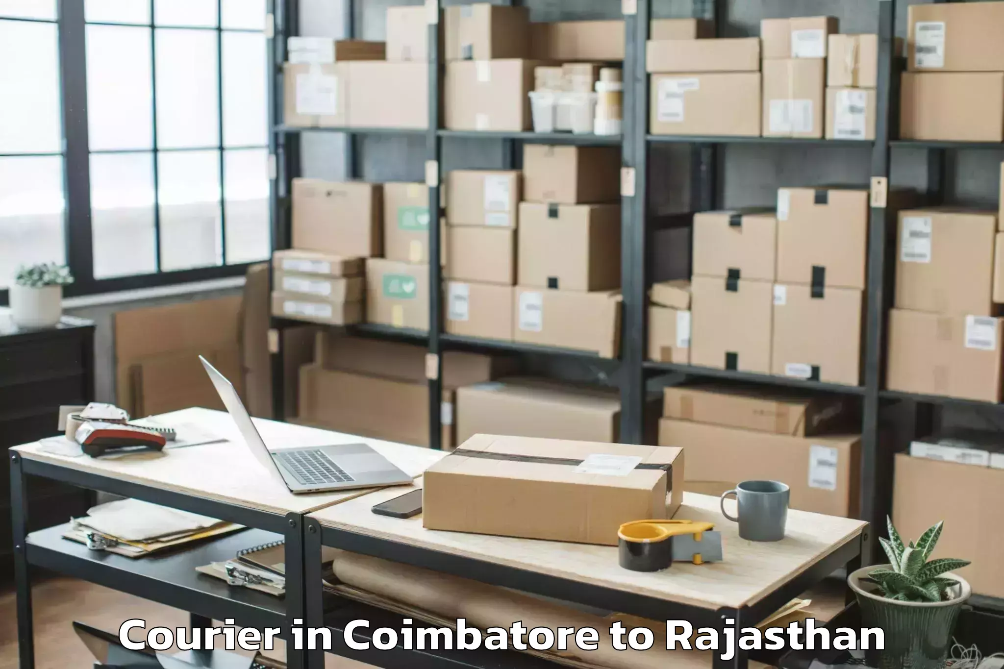 Easy Coimbatore to Kishangarh Bas Courier Booking